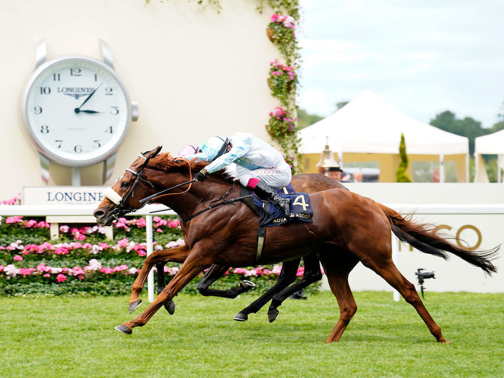 Giavellotto volvió a lucirse en la elite y sumó Royal Ascot a su recorrido alrededor del mundo