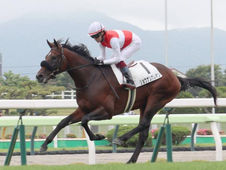 Shonan Galleon, Record-Breaking Debut for the Son of Flightline and Argentine Champion Tan Gritona