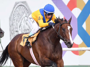 Causeway Girl hizo su trabajo a la perfección y sumó una nueva victoria