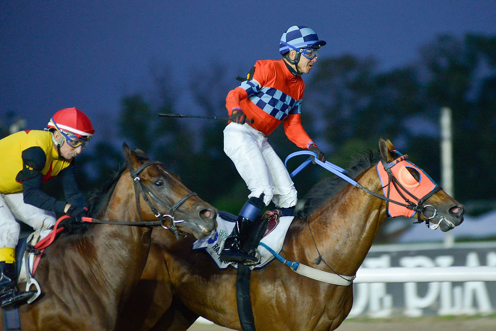 La Plata goes into Dardo Rocha mode, the race that brings an entire city to a standstill