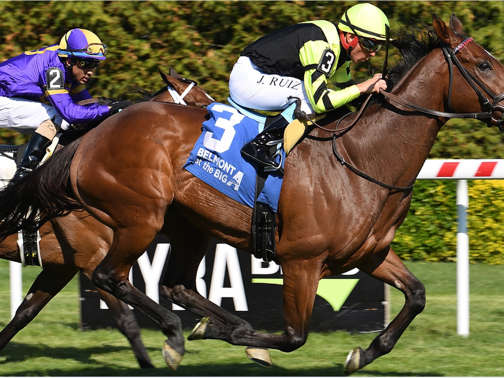 Jorge Ruíz Díaz ganó el Sheepshead Bay Stakes en Aqueduct con No Show Sammy Jo