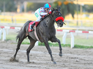 It's My Look es carta en el Clásico Miss Loren; Yak Sport quiere desquite en el Especial Cafrune