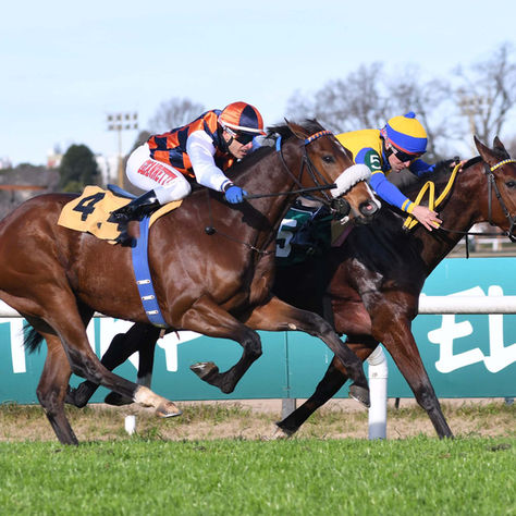 Hi Intense Showed True Grit to Outduel Ruby Rose