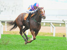 With two scratches, nine runners will line up for the Clásico General Pueyrredón, the longest race of the season