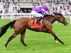 Aidan O'Brien and another record: Sun Goddess gave him his 18th victory in the Phoenix Stakes