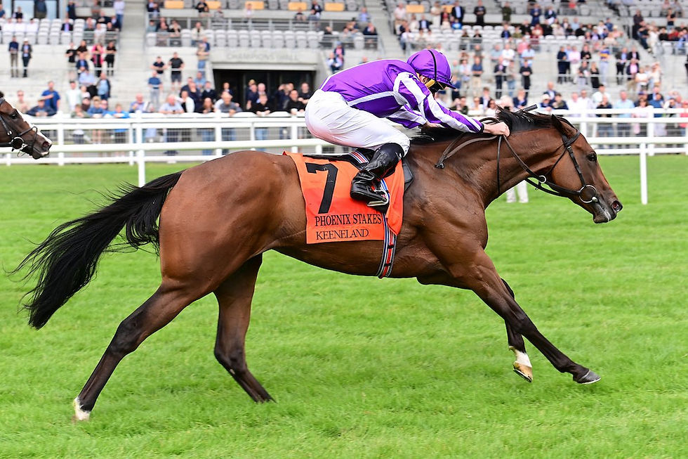 Aidan O'Brien y otro récord: Sun Goddess le dio su 18vo. éxito en el Phoenix Stakes