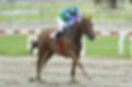 Nakayama has a solid chance to shine at the higher level / JUAN I. BOZZELLO