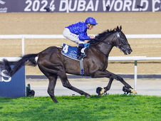 Rebel's Romance y Heart of Honor, las figuras en el Super Sábado de Meydan