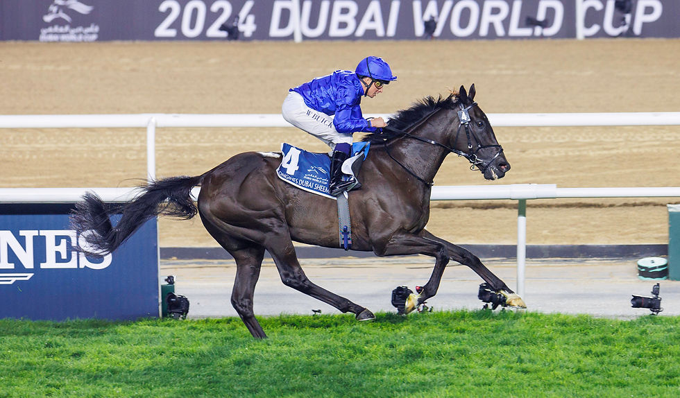 Rebel's Romance vuelve a Dubai por más gloria / DRC