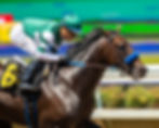 Full Serrano impressed in his return / BENOIT PHOTO
