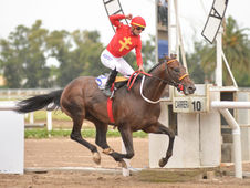 Unico Happy, on Form and Race Shape, Is the Horse to Beat in the González
