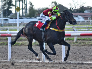 Folke Dancer estuvo intratable en el Especial Campesino