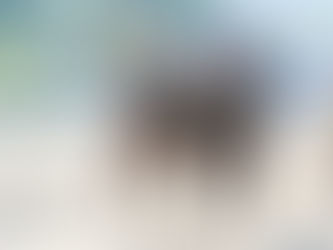 Palermo: Cannolina sorprendió a Martana y se llevó el Clásico Ramón Biaus