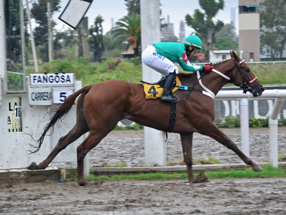 Sono Perfetto regaló una actuación espectacular bajo condiciones difíciles