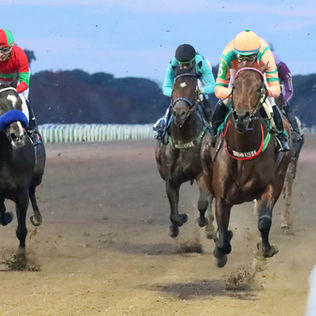 Tiffony Moi Took Them All the Way and Left Two G1 Winners Chasing Shadows