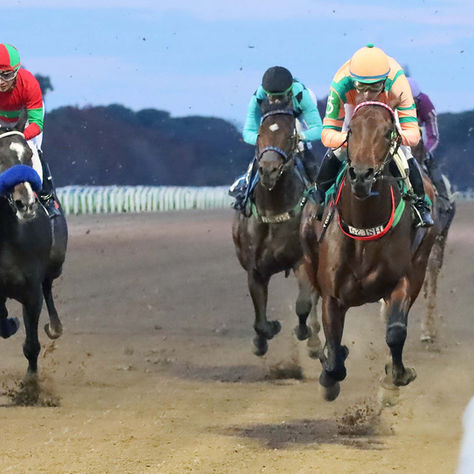 Tiffony Mo Goes for Her Third Consecutive Stakes Win at San Isidro