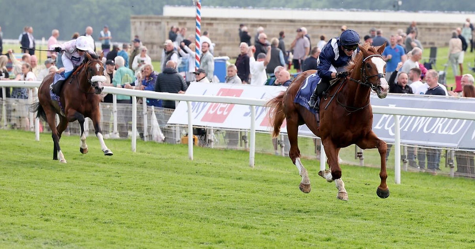 G1 winner Economics sold to India to begin stallion career