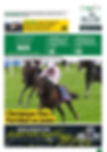TURFDIARIO060626TAPA.jpg
