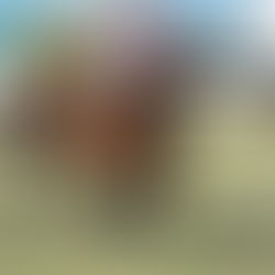 Pretoriana closed strongly and looks more solid every day on the turf straight