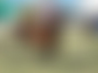 Pretoriana closed strongly and looks more solid every day on the turf straight