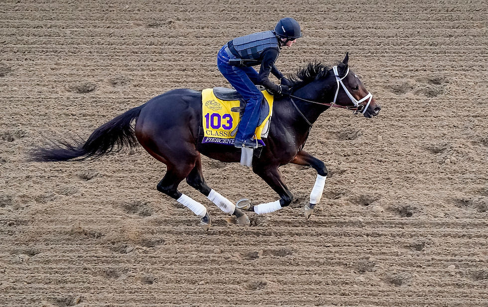 Fierceness podría viajar a California, donde ya sabe lo que es brillar / BREEDERS' CUP