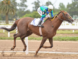 Escolastic Girl va por más en el Clásico Inés Victorica Roca