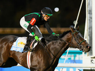 Magnum Fifth, el caballo que tardó en correr pero ahora no pierde el tiempo