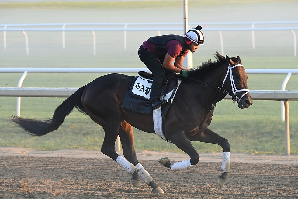Mindframe se pone a punto hacia un nuevo objetivo de G1 / ADAM COGLIANESE / NYRA
