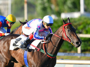 Elenika and La Meninha top a promising line-up for the Lucio Taborda