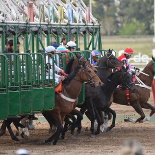 Selecciones Martes 30/12 Hipódromo de La Plata