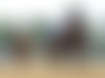 La milla que hace historia: el Met Mile como punto de inflexión para los campeones