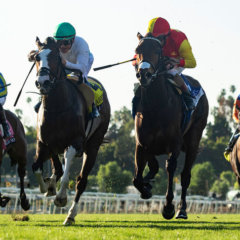 La peruana Princesa Moche va por otro éxito fuerte en el césped de Santa Anita