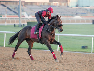 Dark Saffron y Mufasa prometen un choque vibrante en el Al Garhoud Sprint