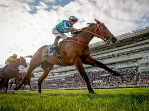 Romantic Warrior fue un vendaval en Sha Tin y ya acaricia la Triple Corona