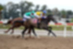 Winston y Sono Perfetto volverían a medirse en el Jockey Club / HLP