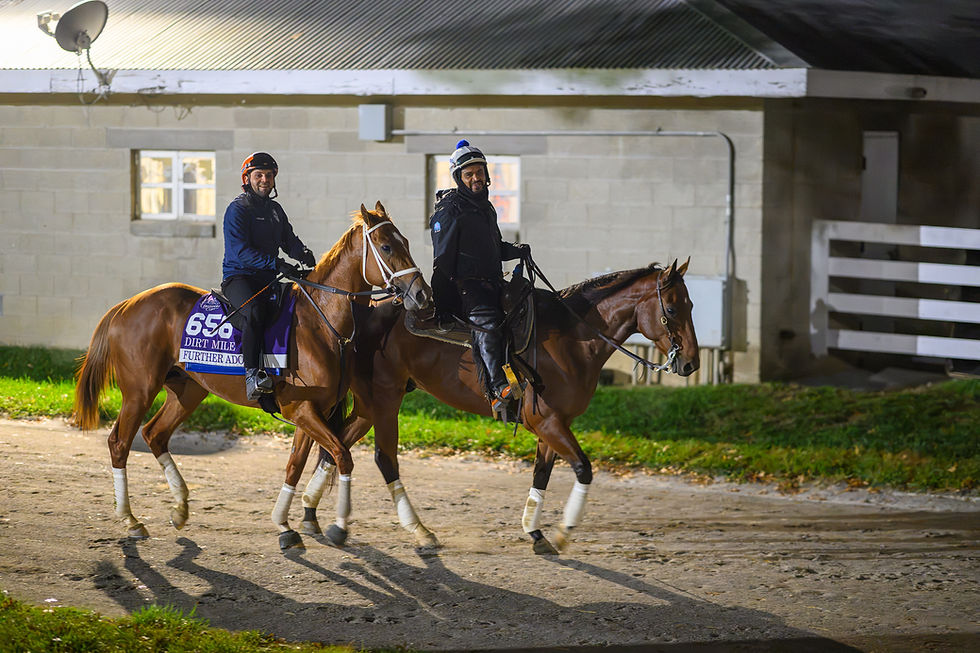 Further Ado correrá el Dirt Mile y será rival de Full Serrano