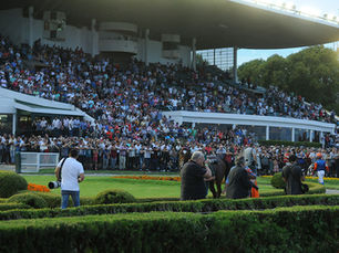 With 17 horses confirmed, the Pellegrini enters its decisive hours