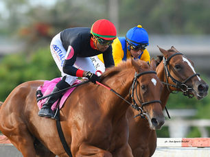 Personal Filly and Live Your Life headline an Atucha filled with talented names