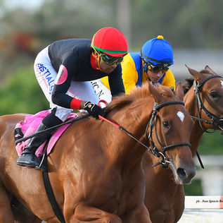 Personal Filly va por el Güiraldes, arrancando el camino hacia la Polla de Potrancas
