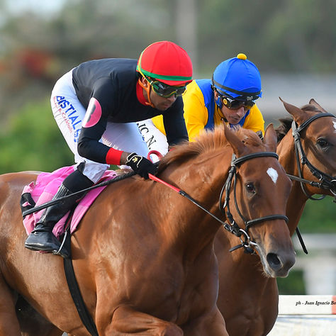 The Triple Crown Gets Underway at La Plata with the Clásico Polla de Potrancas