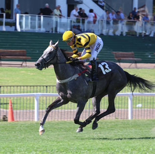 Zaatar, Niño Samurai, Esperanza Eterna y el triplete espectacular de Strategos