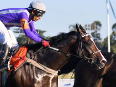 Thor Medina will go to the Latino for San Isidro; there are 8 extra-classified runners