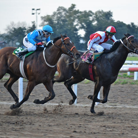 Foggy Champ pudo con El Resero Con Capa en el Juan Vucetich