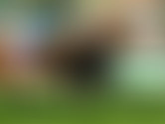 Queen Sienna y una parada brava en el Santa Ana Stakes de Santa Anita Park