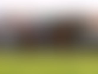 Calandagan le arrebató la gloria a Masquerade Ball en una Japan Cup inolvidable