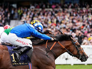 Almeraq encabeza el poderoso equipo de William Haggas para el Champions Day