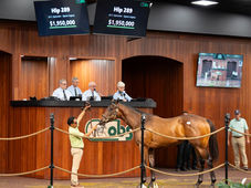Un hijo de Epicenter alcanza US$ 1.95 millones y sacude el OBS Spring Sale