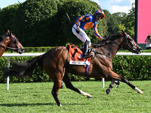 Survie hizo historia en Saratoga y venció a los machos en el Christophe Clement Turf