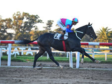 Filling the racing program with low-level conditional alternatives while slashing purses by half came with a heavy, unavoidable price