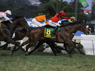 El festejo anticipado con Sinsel le salió carísimo al jockey Leandro Henrique
